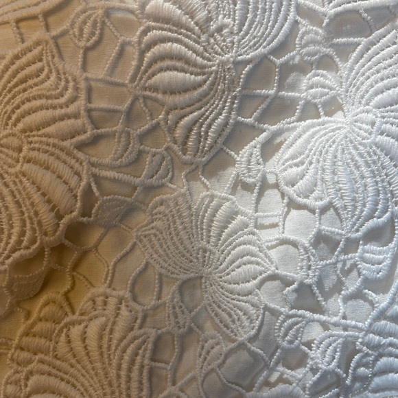 Ann Taylor White Lace High Waist Shorts - Picture 3 of 6